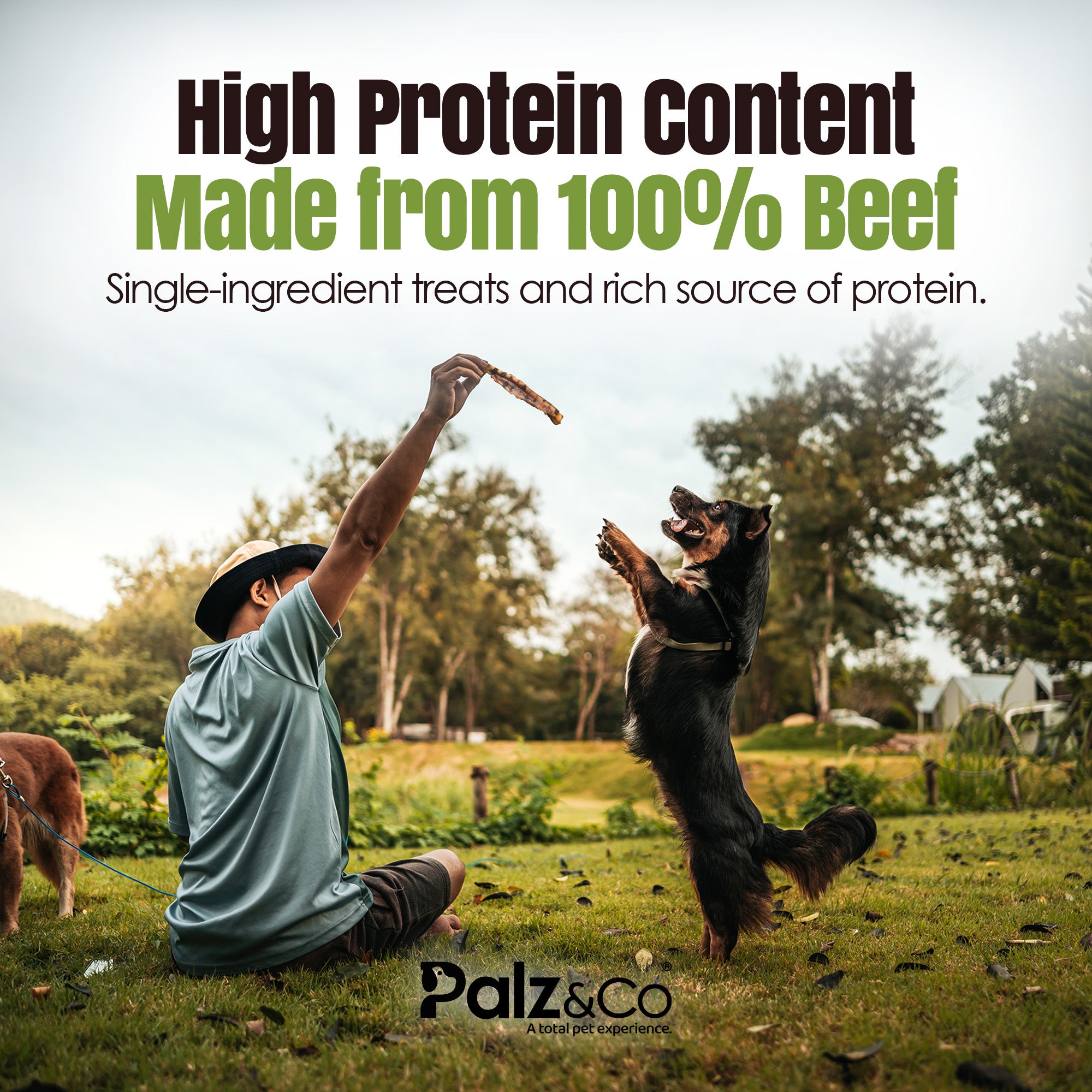 Moodog Beef Cheek Sticks - Pack of 12