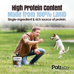 Lambdog Lamb Bites Dog Treats - 6 oz