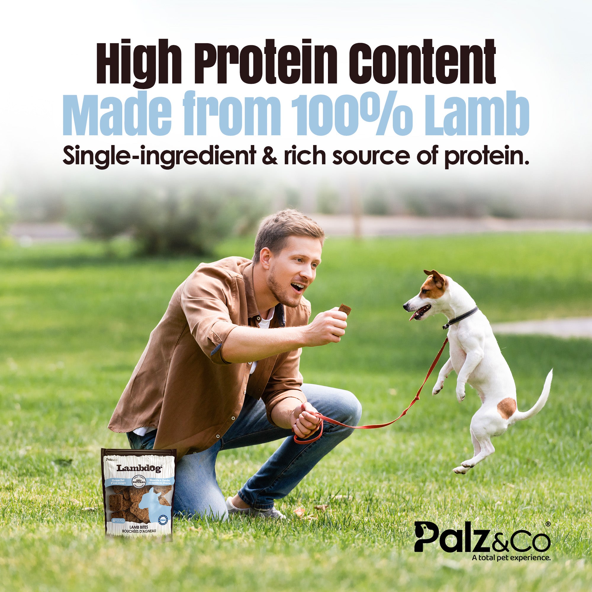 Lambdog Lamb Bites Dog Treats - 6 oz