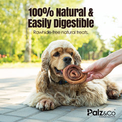 Moodog Beef Bully Bun Caps - Pack of 25