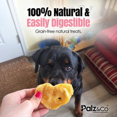 Hogdog Pork Snouts - Pack of 40