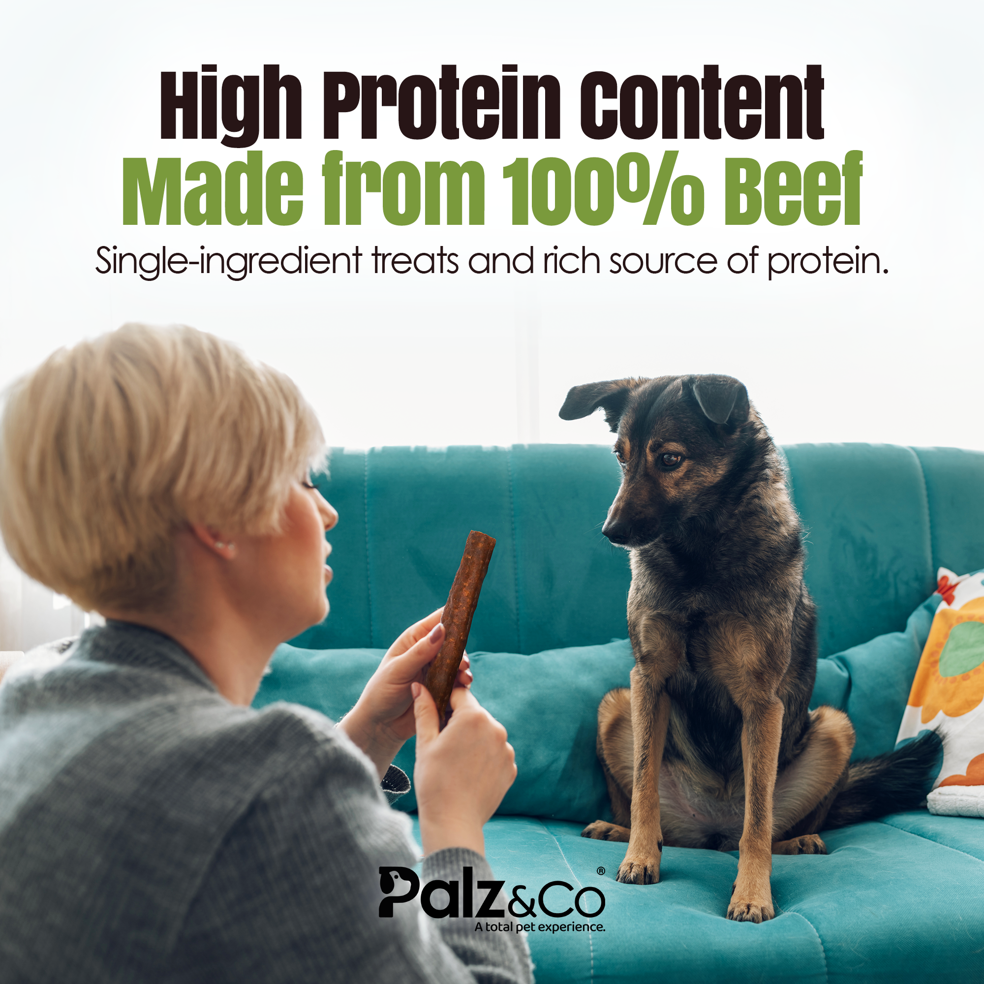 Person holding a treat for a dog on a teal couch with text about high protein content and brand 'Palz & Co'.