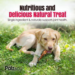 Birddog Chicken Feet Dog Treats - Pack of 10 and 35