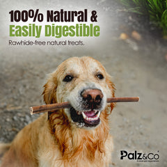 Moodog Beef Thick Bully Sticks 6" & 12", Pack of 25