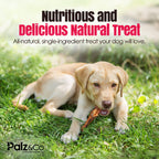 Birddog Chicken Feet (No Nails) - Pack of 60