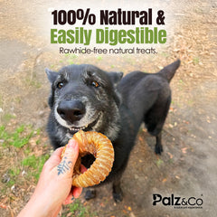 Moodog Beef Trachea Donut - Pack of 1