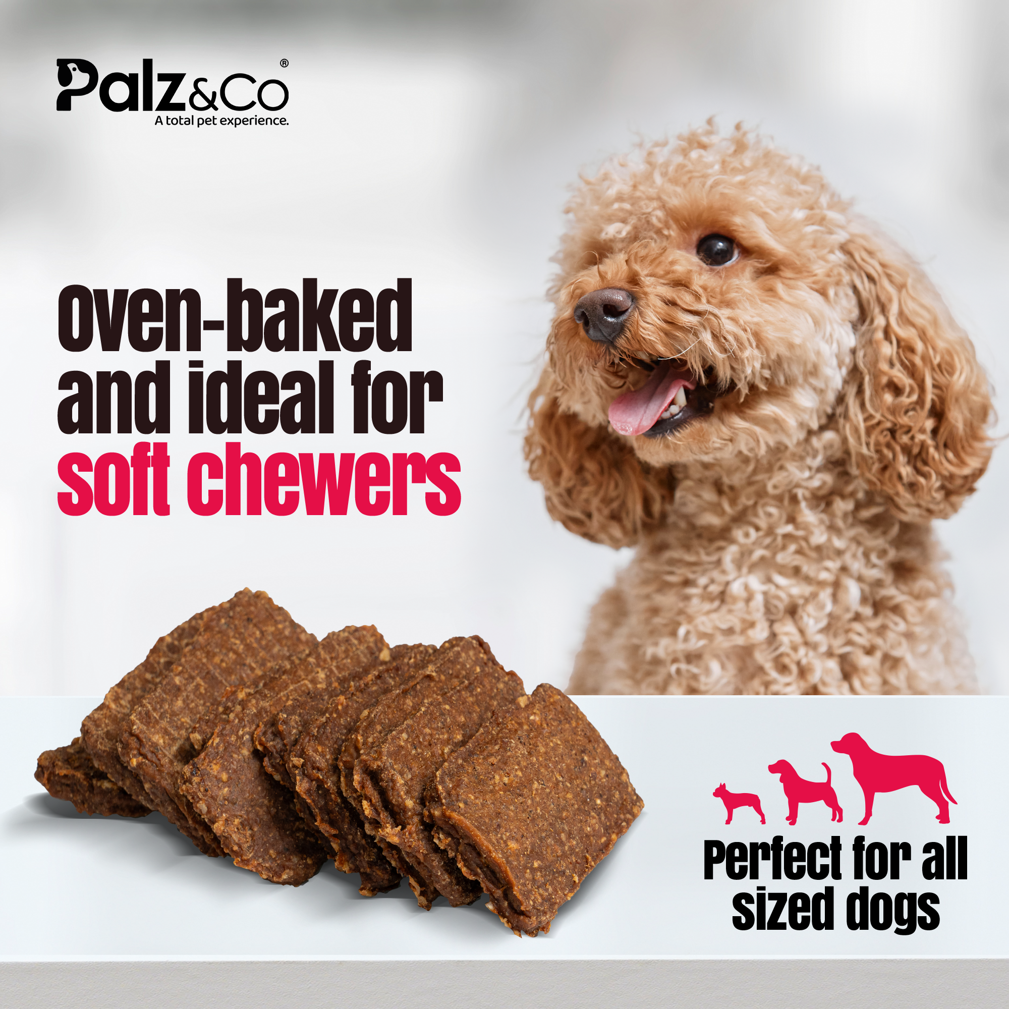 Birddog Chicken Jerky Chews - Pack of 10