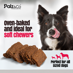 Birddog Duck Jerky Chews - Pack of 10