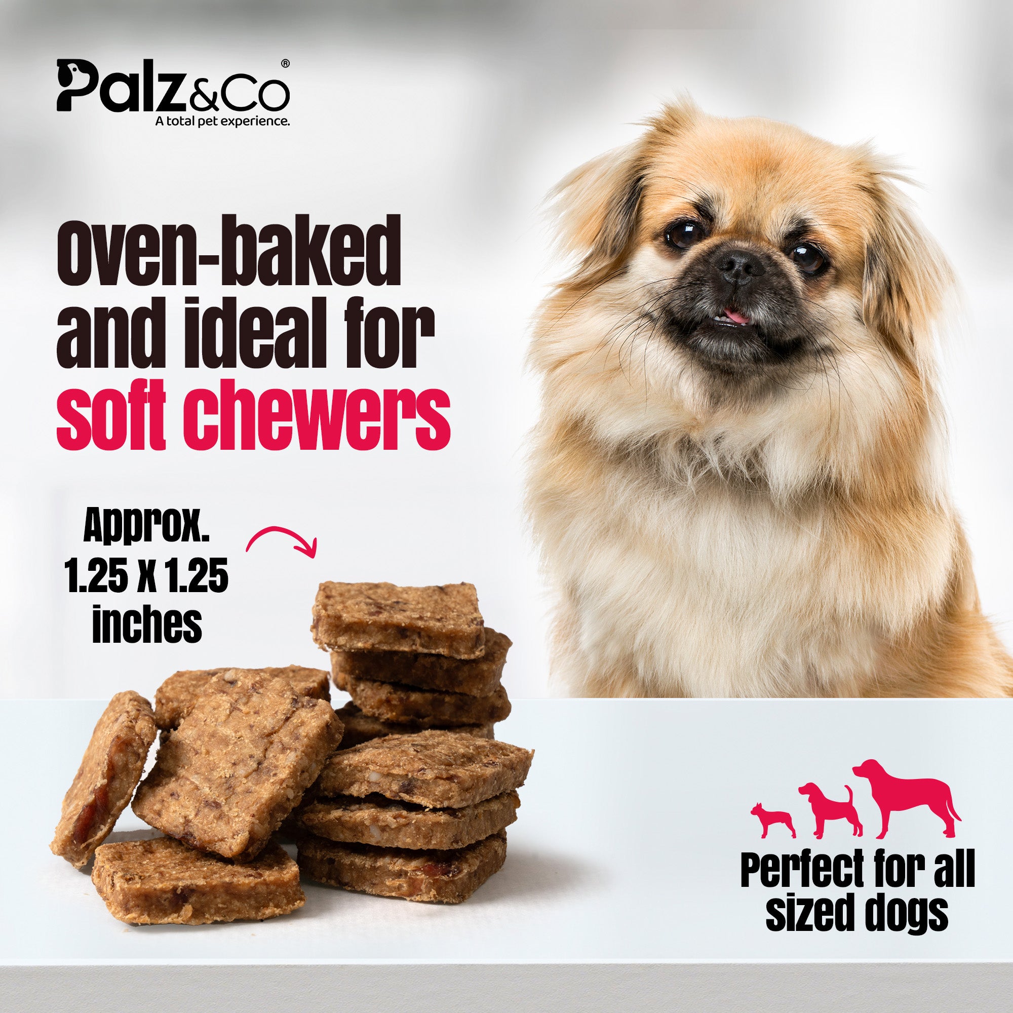 Birddog Chicken Bites Dog Treats - 6 oz