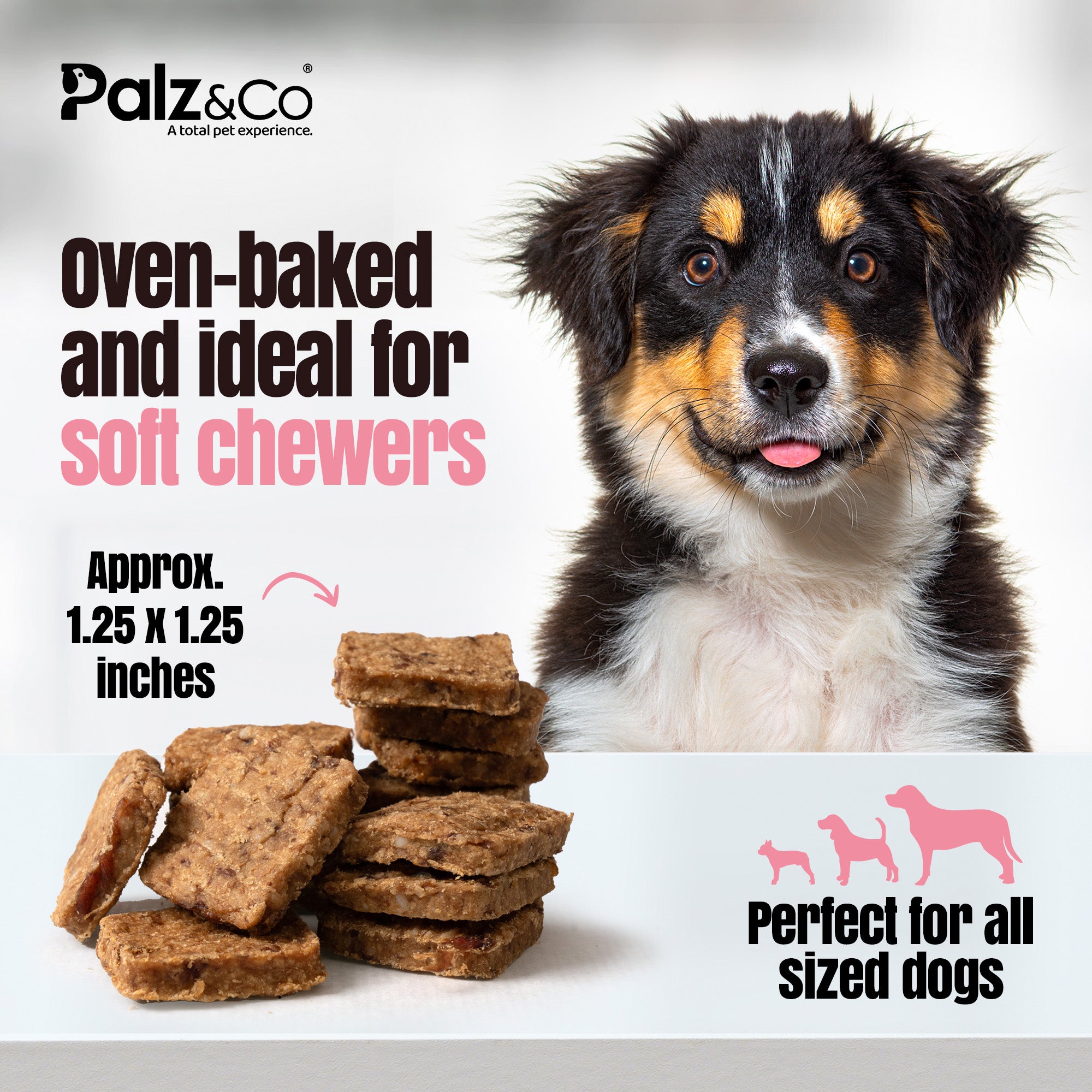 Hogdog Pork Bites Dog Treats - 6 oz