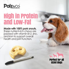 Hogdog Pork Snouts, Bulk 40 Pack