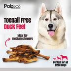 Birddog Duck Feet Chews (no nails) - Pack of 10 & 35