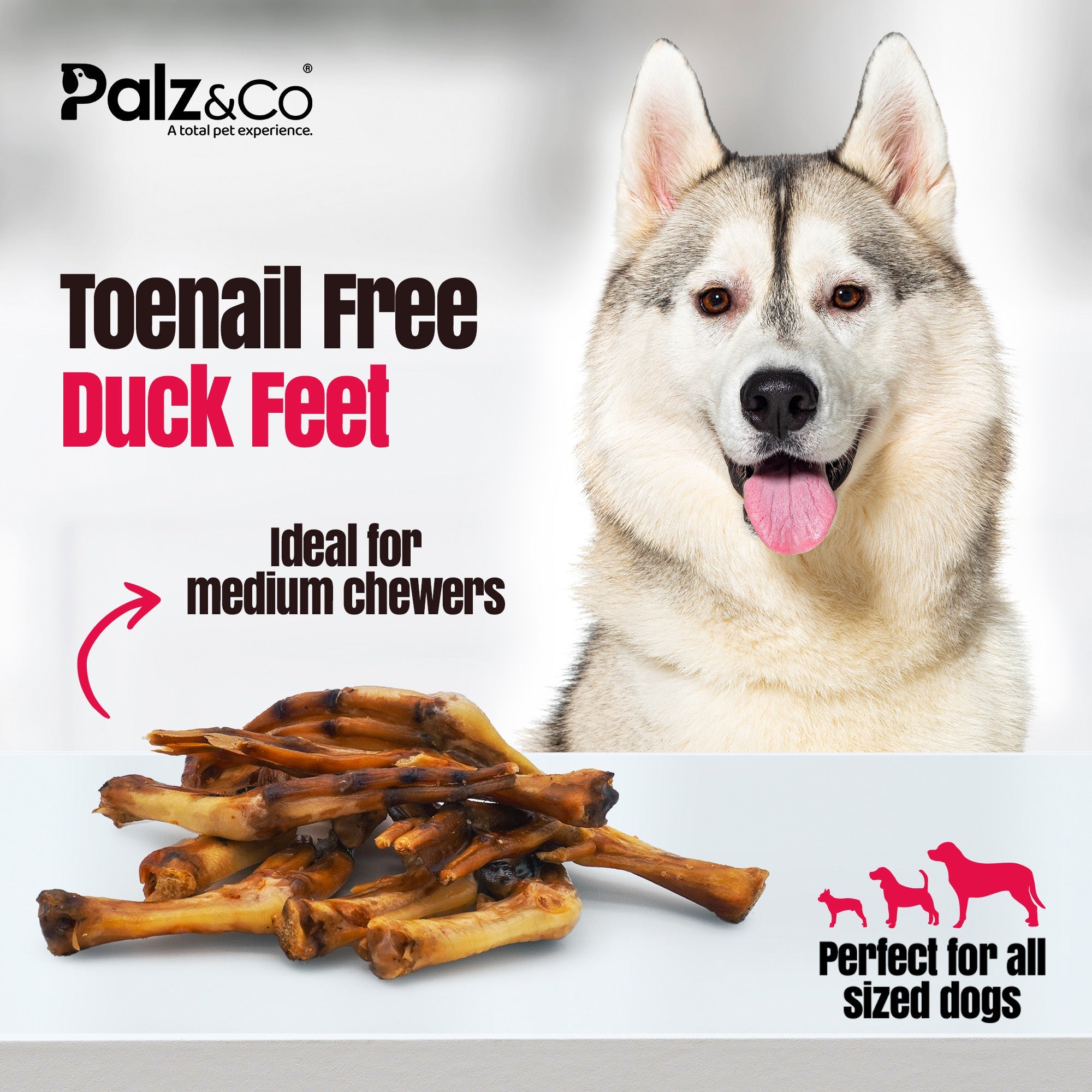 Birddog Duck Feet Chews (no nails) - Pack of 10 & 35