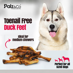 Birddog Duck Feet Chews (no nails) - Pack of 10 & 35