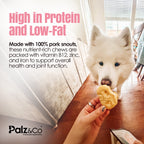 Hogdog Pork Snouts - Pack of 5