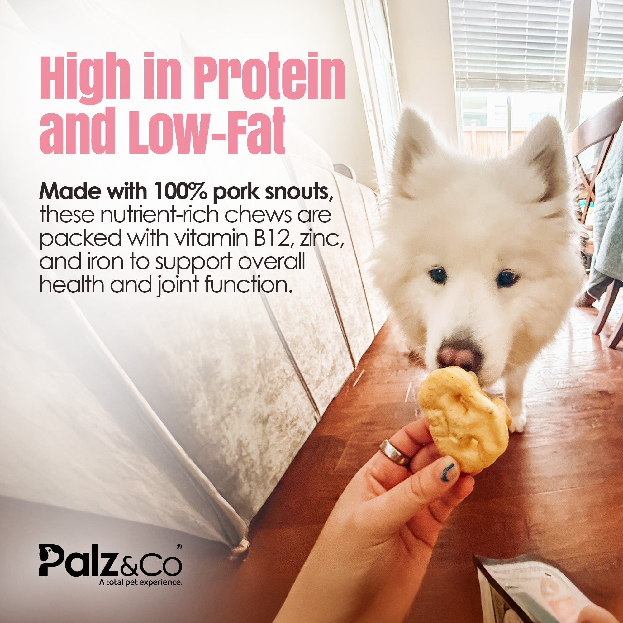 Hogdog Pork Snouts - Pack of 5