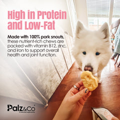 Hogdog Pork Snouts - Pack of 5