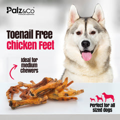 Birddog Chicken Feet Dog Treats - Pack of 10 & 35