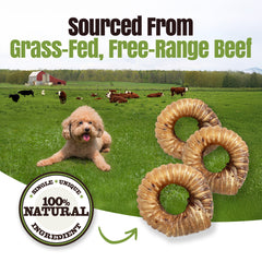 Moodog Beef Trachea Donut - Pack of 1