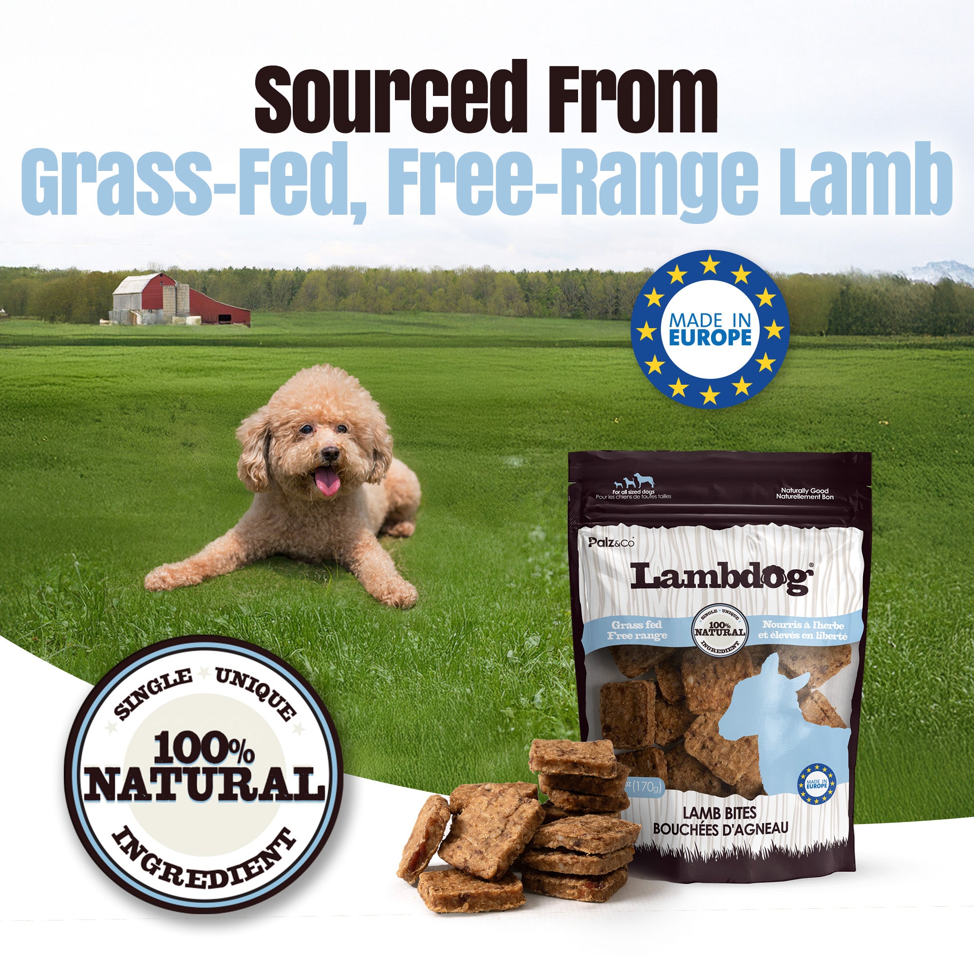 Lambdog Lamb Bites Dog Treats - 6 oz