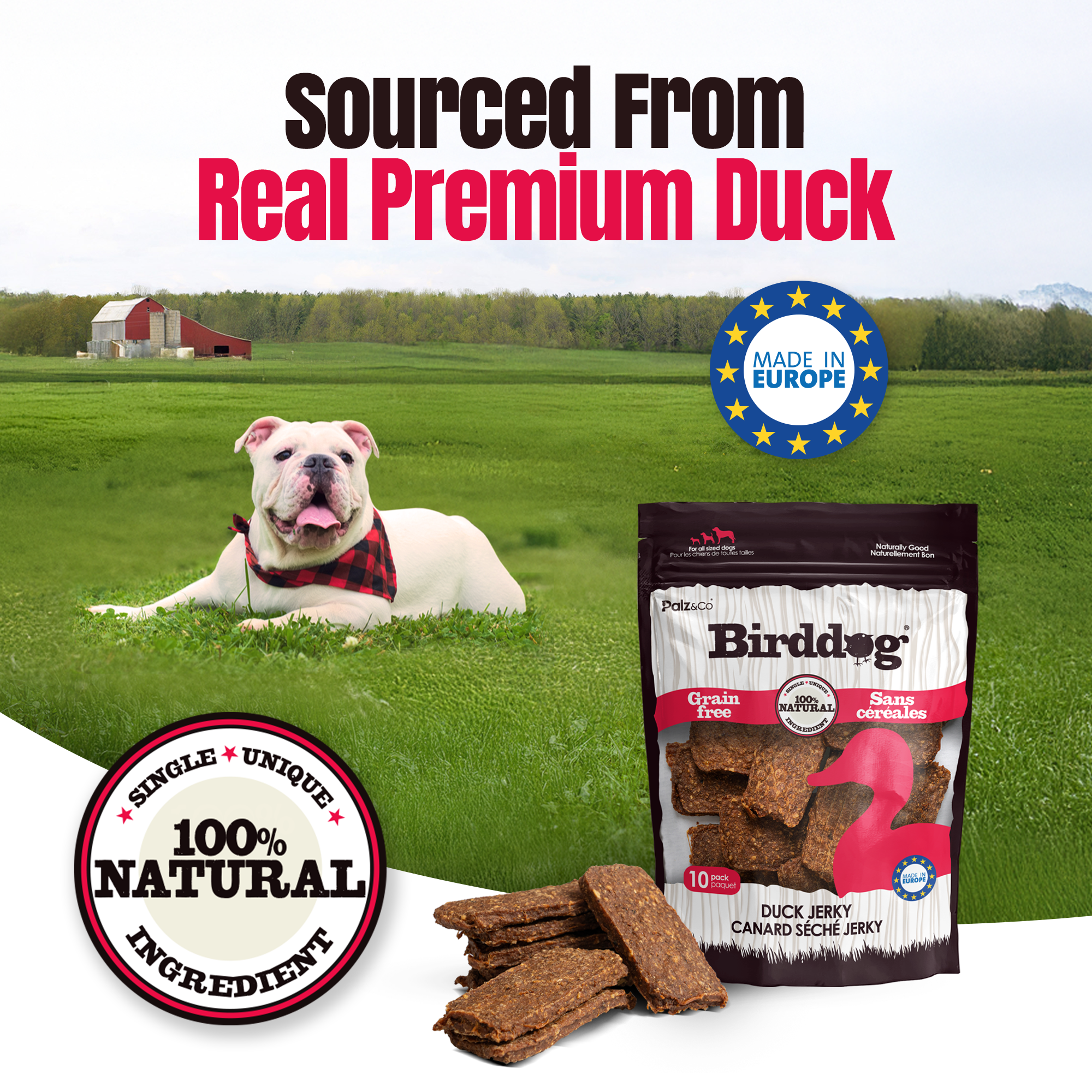 Birddog Duck Jerky Chews - Pack of 10