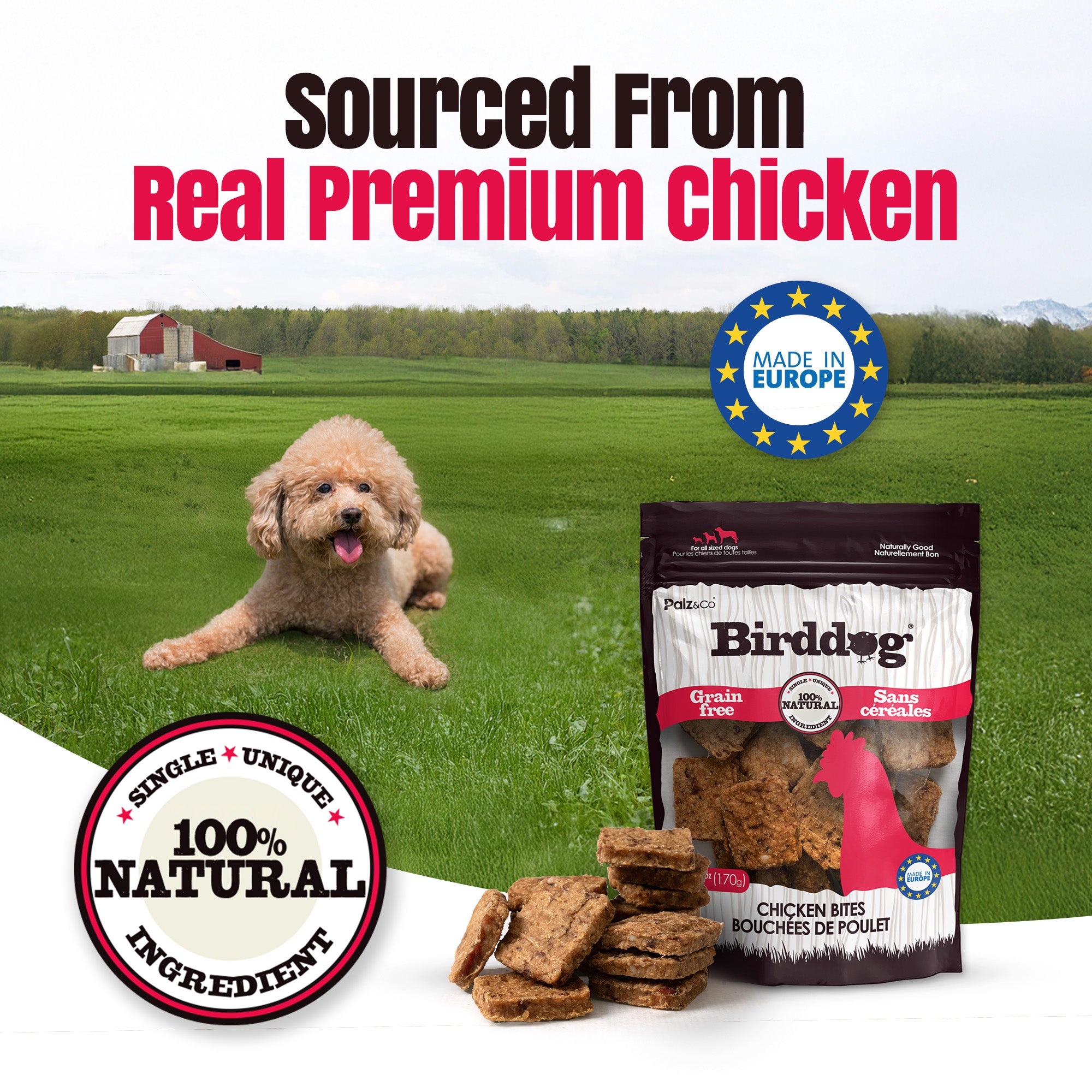 Birddog Chicken Bites Dog Treats - 6 oz