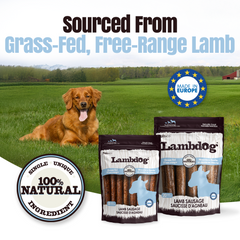 Lambdog Lamb Sausage Dog Treats - 8 & 20 Pack