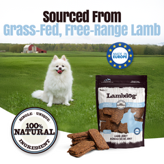 Lambdog Lamb Jerky Chews - Pack of 10