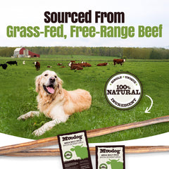 Moodog Beef Cane Bully Stick - Mega 35"