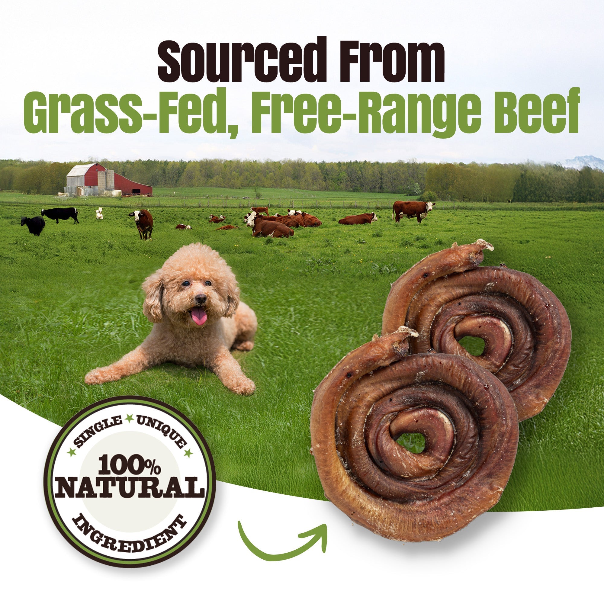 Moodog Beef Bully Bun Caps - Pack of 25