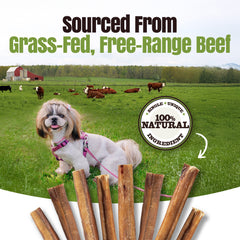 Moodog Beef Value Bully Stick 6" - Pack of 25
