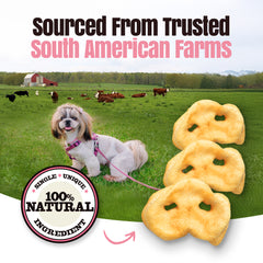 Hogdog Pork Snouts, Bulk 40 Pack