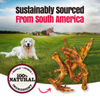 Birddog Chicken Feet (No Nails) - Pack of 60