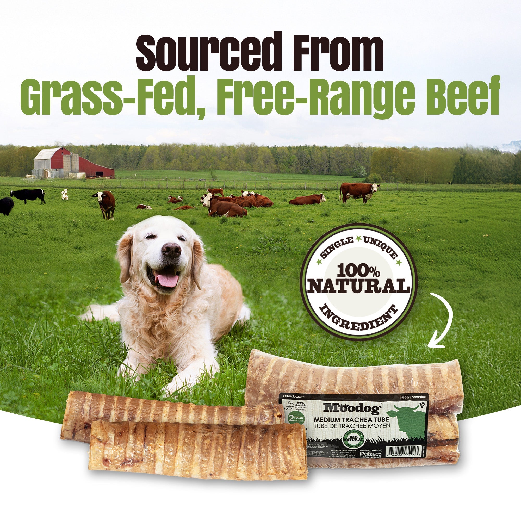 Moodog Beef Trachea Tubes - Pack of 2