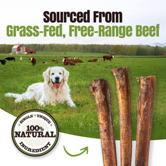 Moodog Beef Monster Bully Stick 6" & 12" - Pack of 25