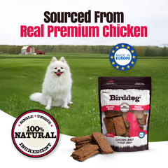 Birddog Chicken Jerky Chews - Pack of 10
