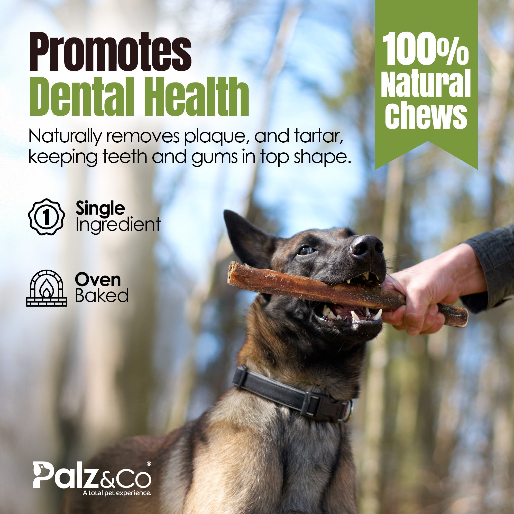 Moodog Beef Monster Bully Sticks 6"-12"- Pack of 25