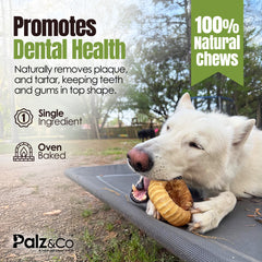 Moodog Beef Trachea Donut - Pack of 1