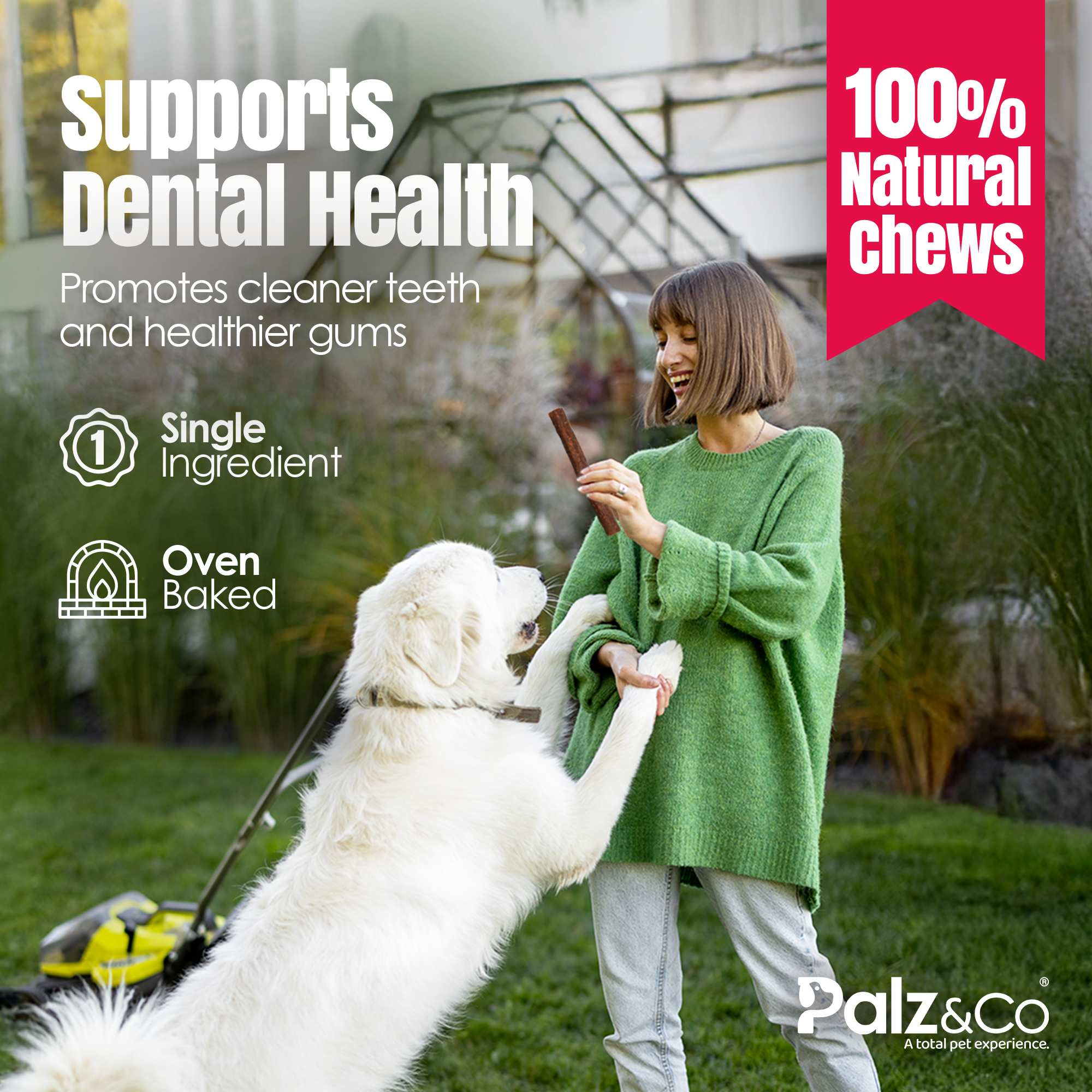 Birddog Chicken Sausage Dog Treats - 8 & 20 Pack