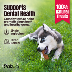 Birddog Duck Jerky Chews - Pack of 10