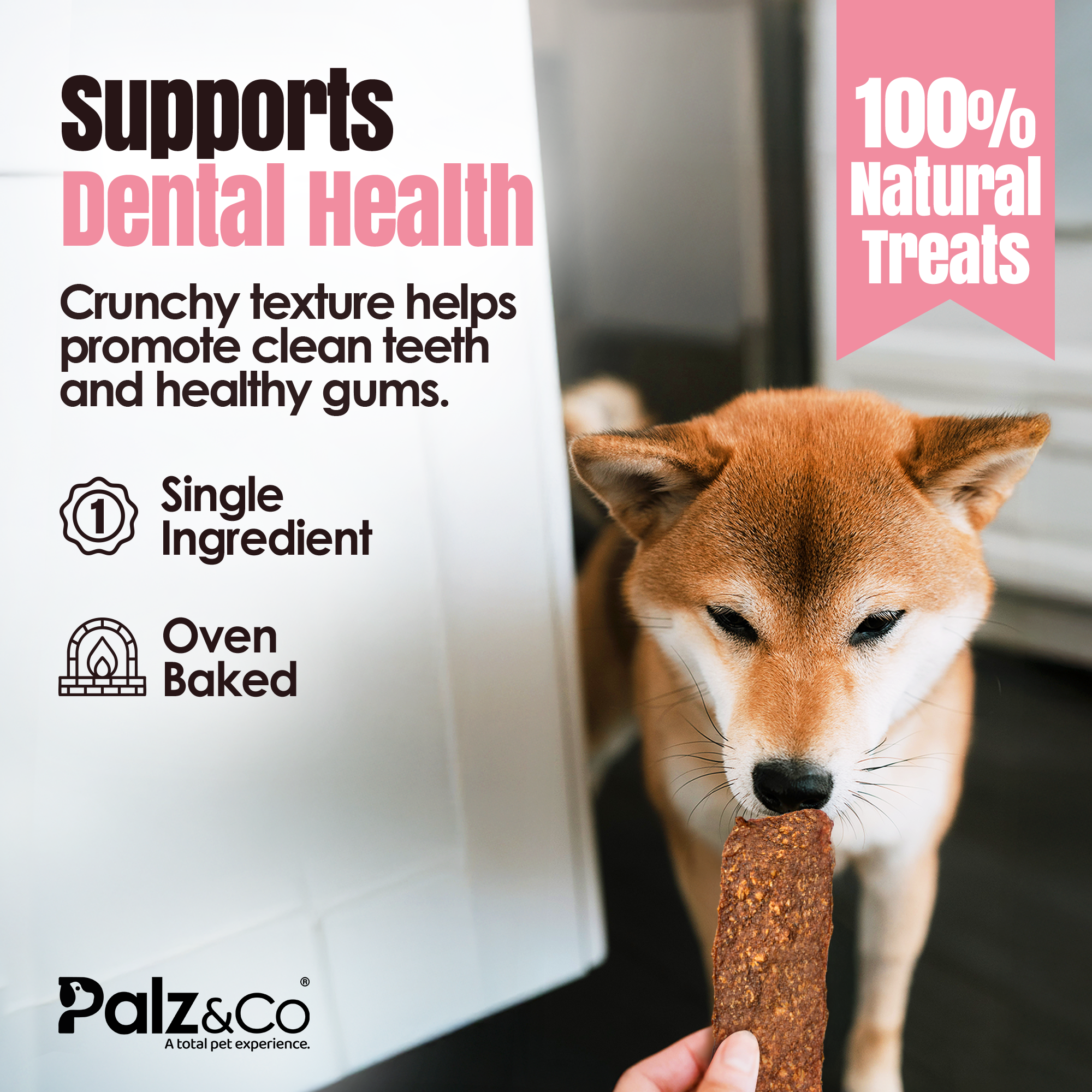 Hogdog Pork Jerky Chews - Pack of 10