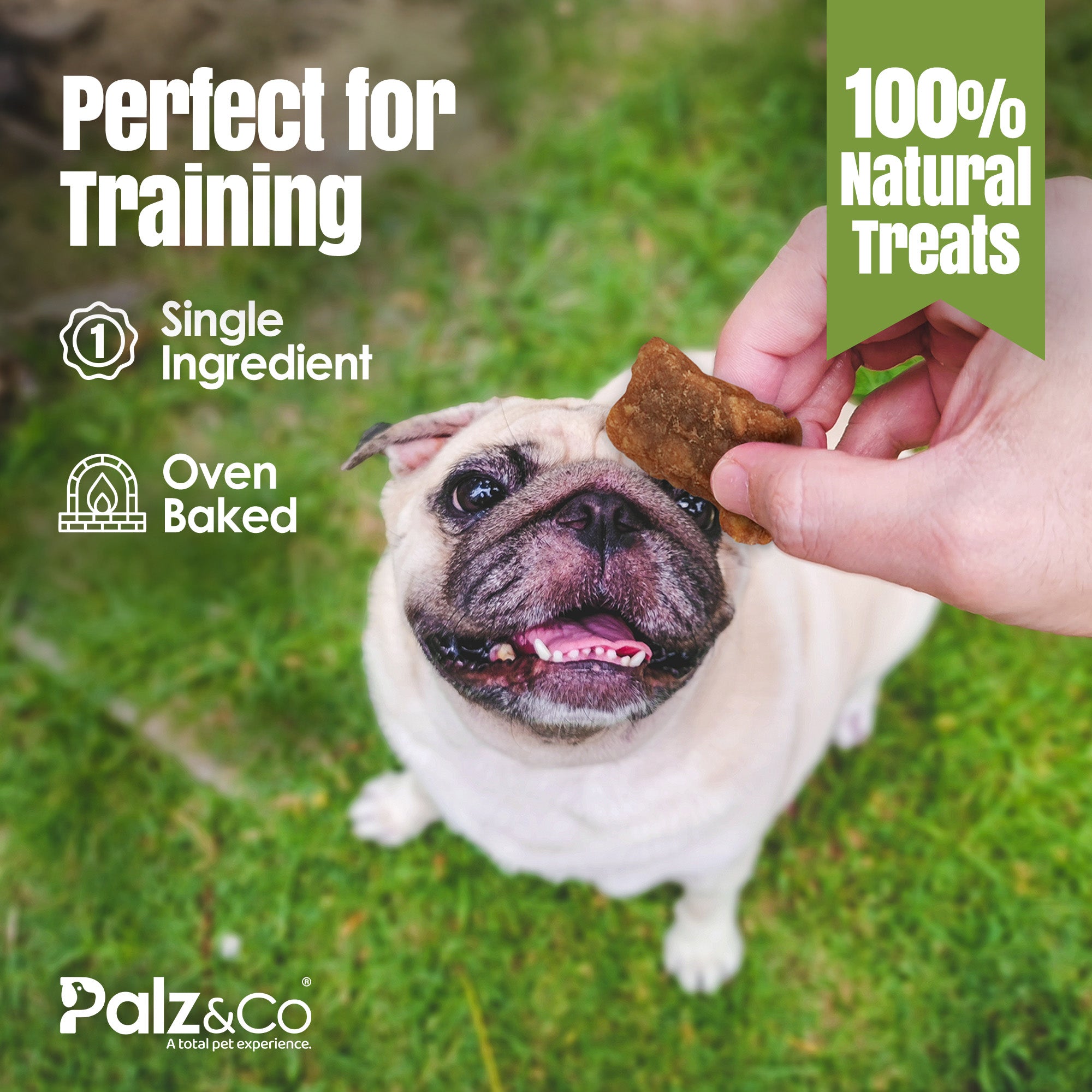 Moodog Beef Bites Dog Treats - 6 oz