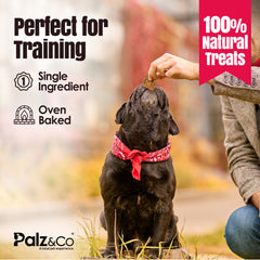 Birddog Chicken Bites Dog Treats - 6 oz