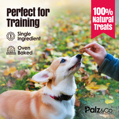 Birddog Duck Bites Dog Treats - 6 oz