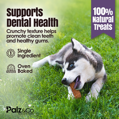 Rabbitdog Rabbit Jerky Chews - Pack of 10