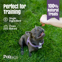 Rabbitdog Rabbit Bites Dog Treats - 6 oz