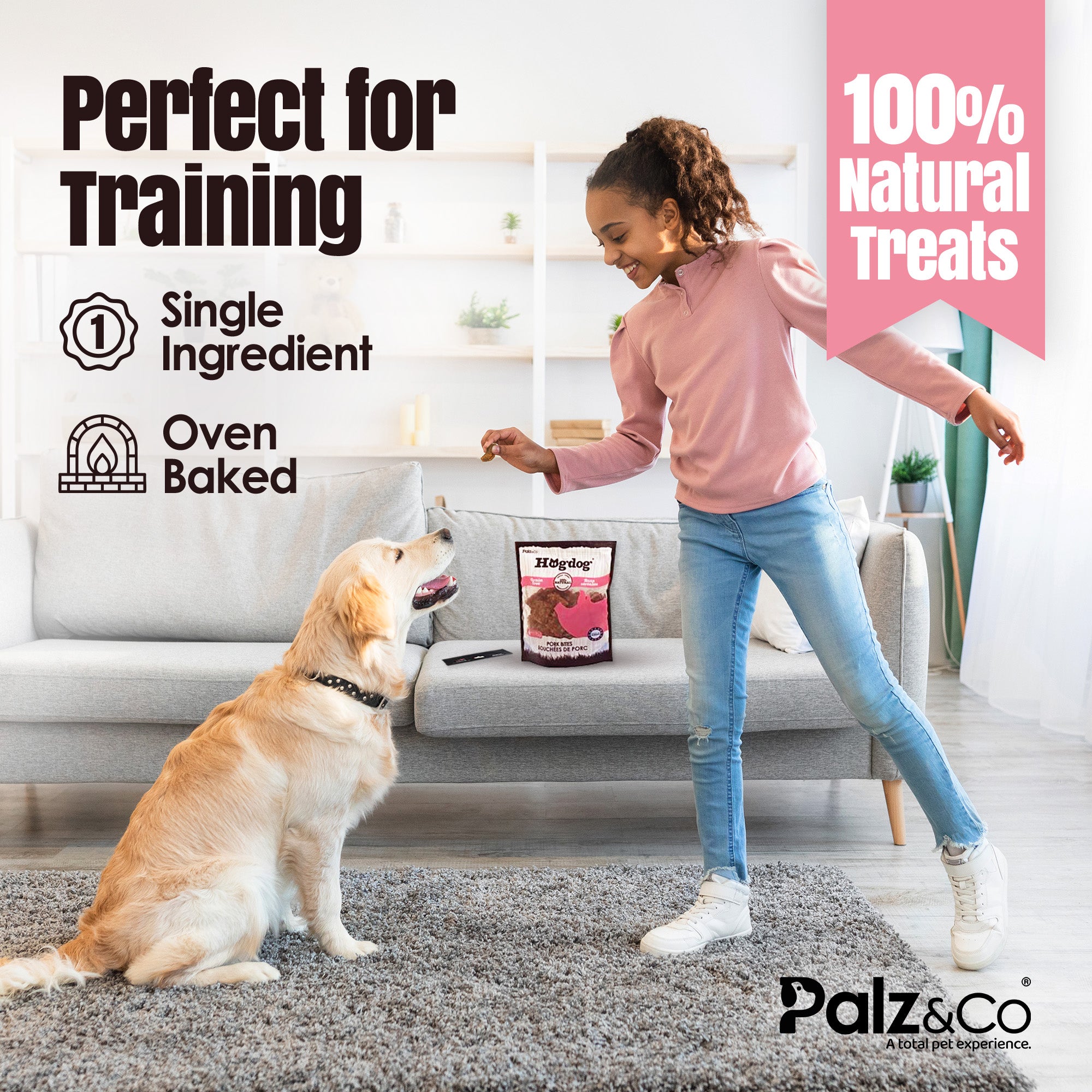 Hogdog Pork Bites Dog Treats - 6 oz