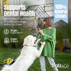 Lambdog Lamb Sausage Dog Treats - 8 & 20 Pack