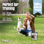 Lambdog Lamb Bites Dog Treats - 6 oz