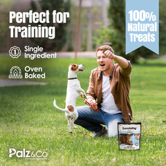 Lambdog Lamb Bites Dog Treats - 6 oz